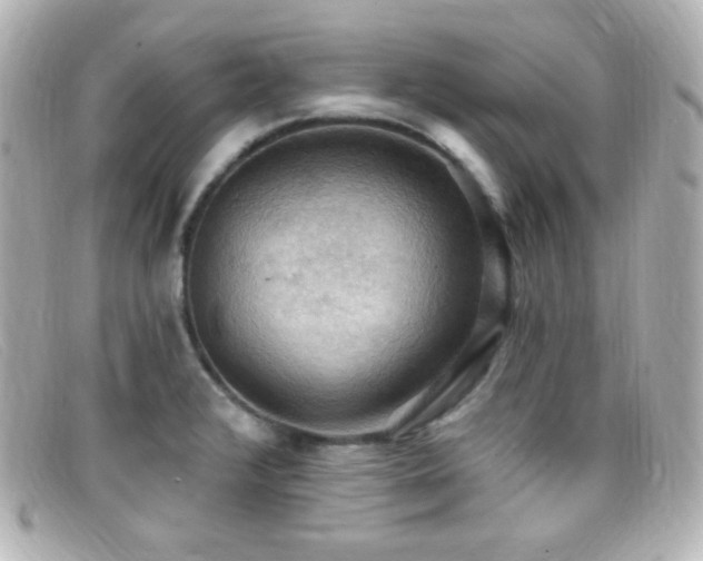 X0000099381376200805081436