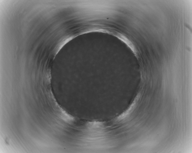X0000099381377200805081436