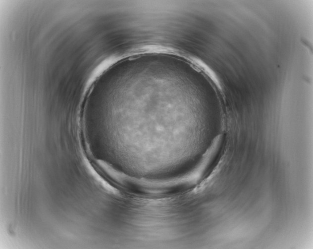 X0000099381381200805081436