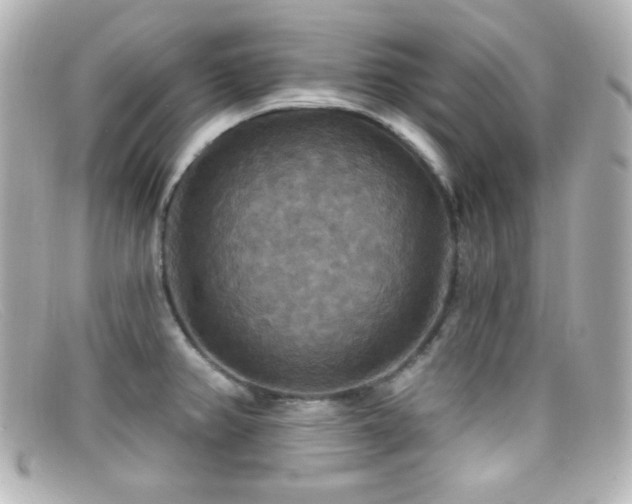 X0000099381382200805081436