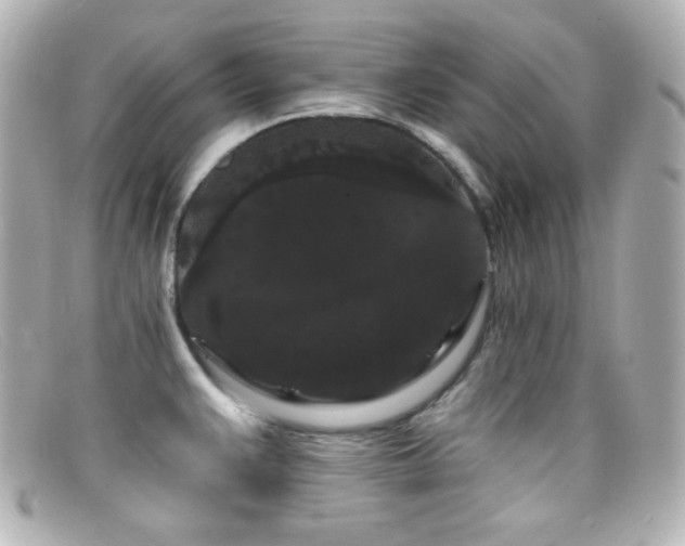 X0000099381383200805081436