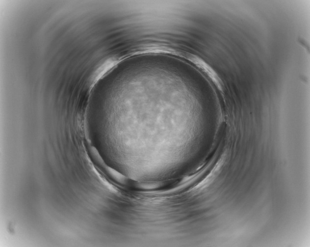 X0000099381385200805081436