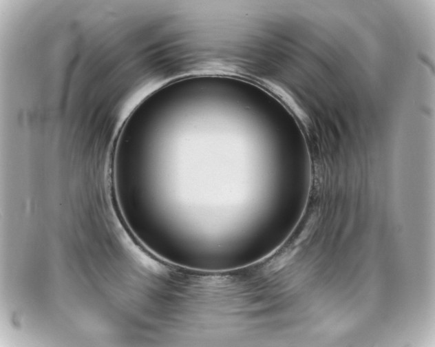 X0000099381387200805081436