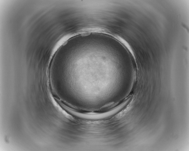 X0000099381389200805081436