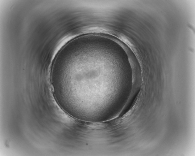 X0000099381392200805081436
