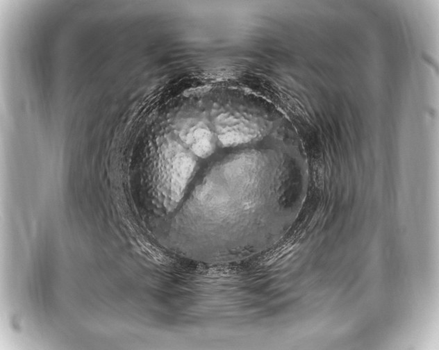 X0000099381393200805081435