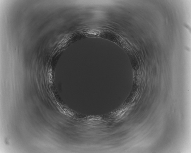 X0000099381394200805081435