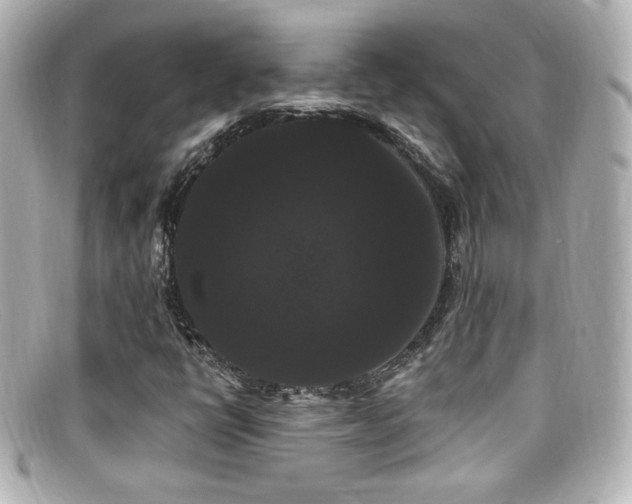 X0000099381398200805081435