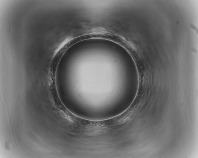 X0000099381400200805081435