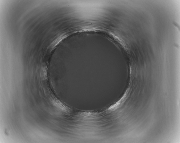 X0000099381401200805081435