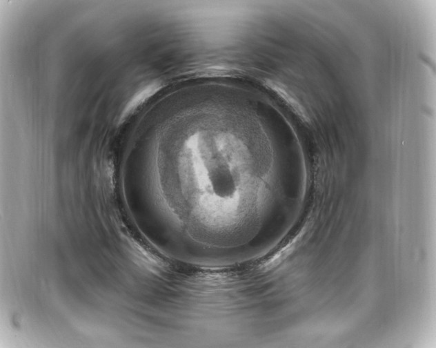 X0000099381402200805081435