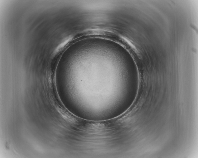 X0000099381403200805081435