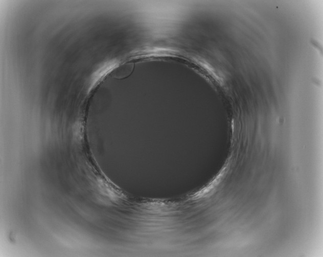 X0000099381405200805081435