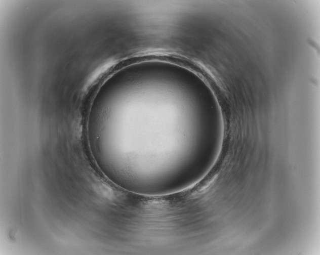X0000099381406200805081435