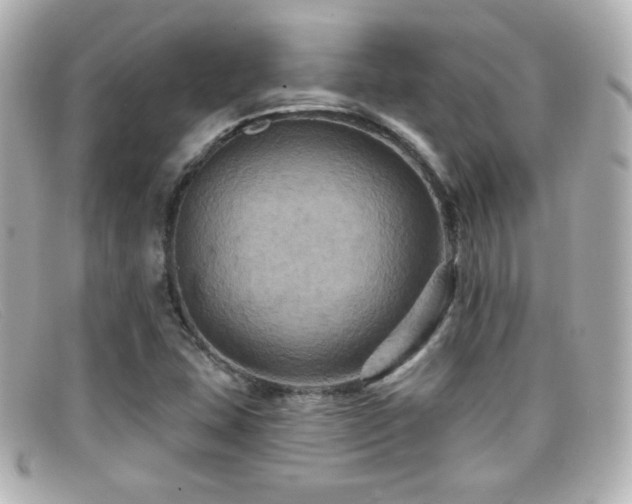 X0000099381407200805081435