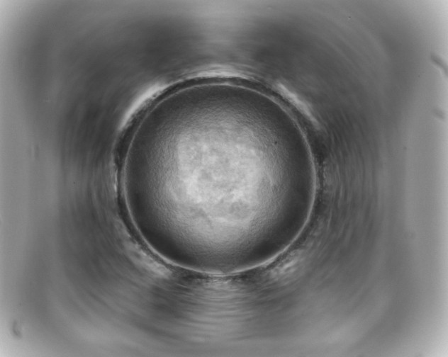 X0000099381408200805081435