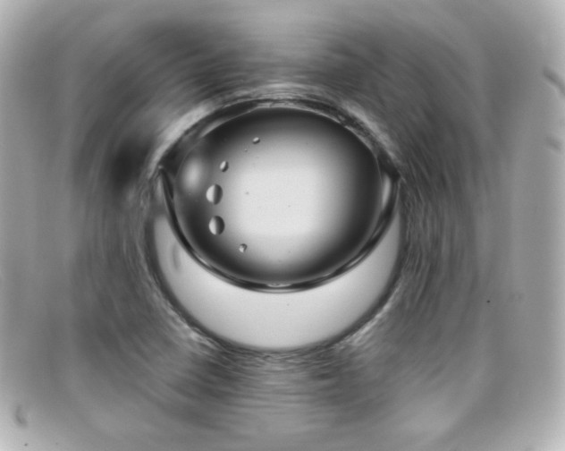 X0000099381410200805081435