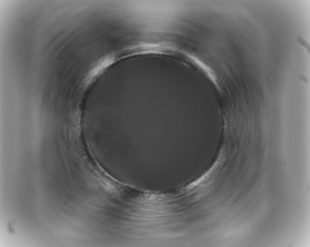 X0000099381411200805081435