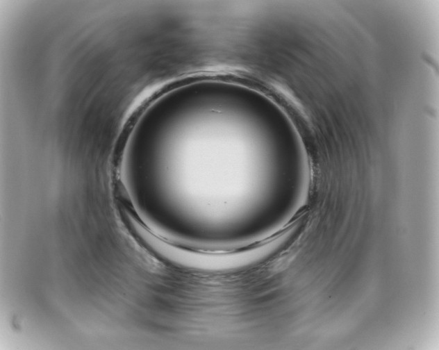 X0000099381412200805081435