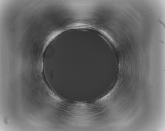 X0000099381413200805081435