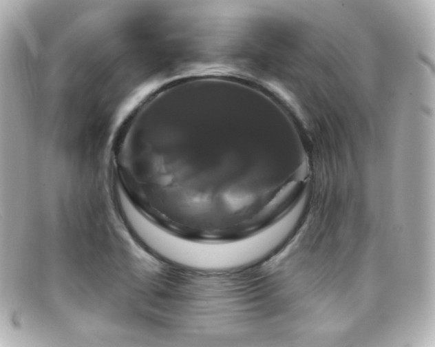 X0000099381414200805081435