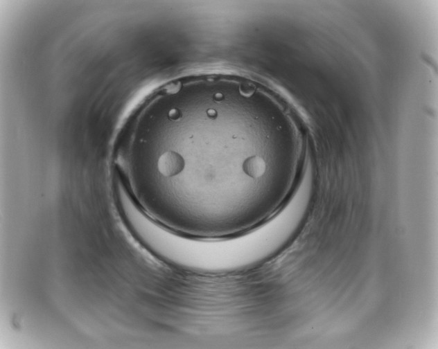 X0000099381416200805081435