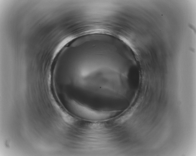 X0000099381418200805081436