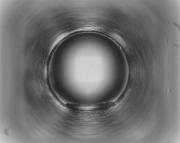 X0000099381420200805081436