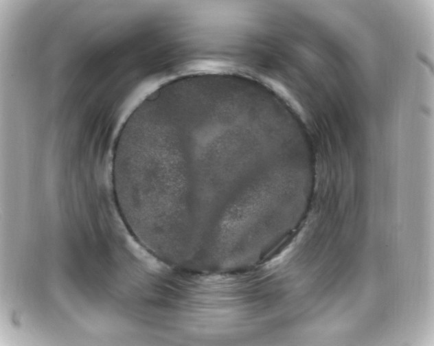 X0000099381421200805081436
