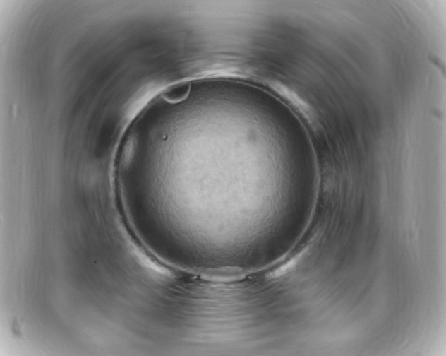 X0000099381423200805081436