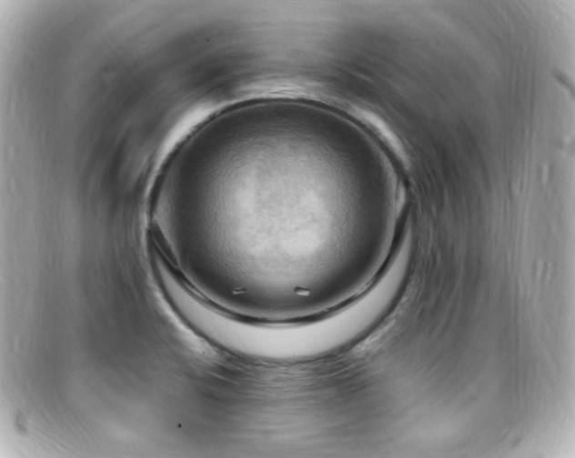 X0000099381424200805081436