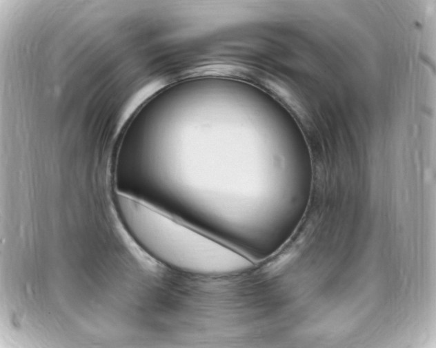 X0000099381426200805081436