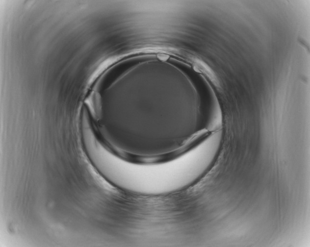 X0000099381428200805081436