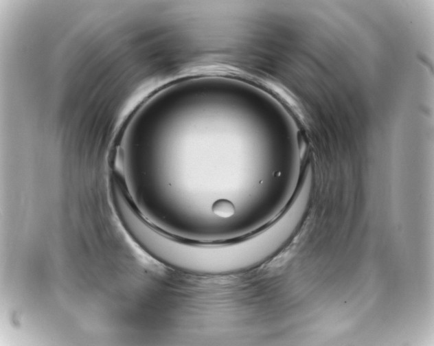 X0000099381430200805081436