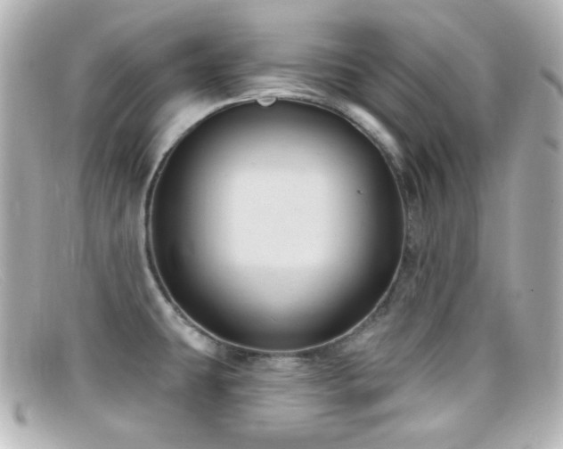 X0000099381431200805081436