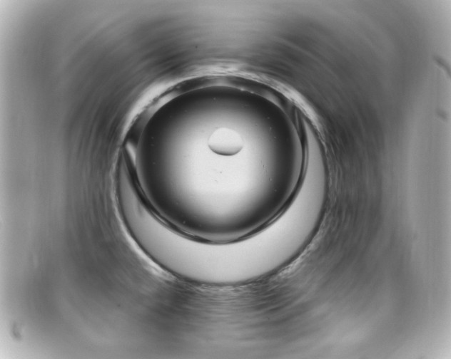 X0000099381432200805081436