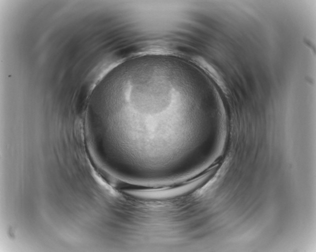 X0000099381433200805081436