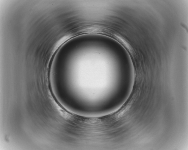 X0000099381434200805081436