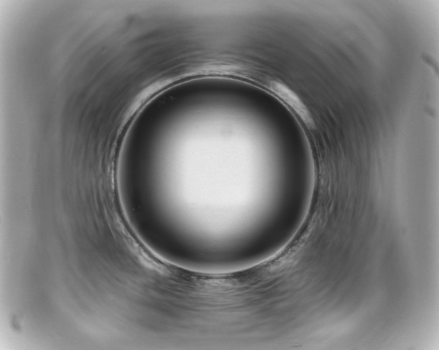 X0000099381436200805081436