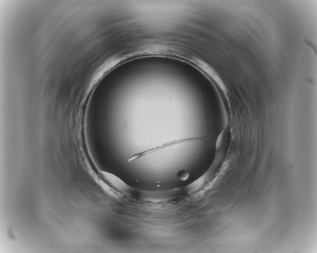 X0000099381437200805081436