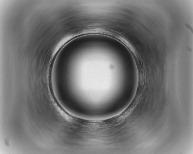X0000099381438200805081436
