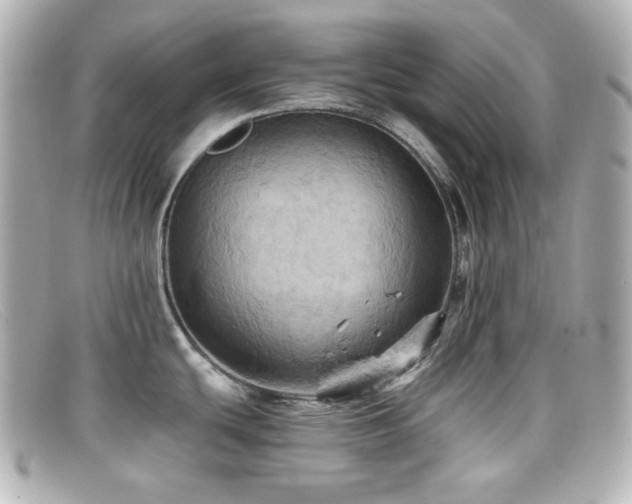 X0000099381439200805081436