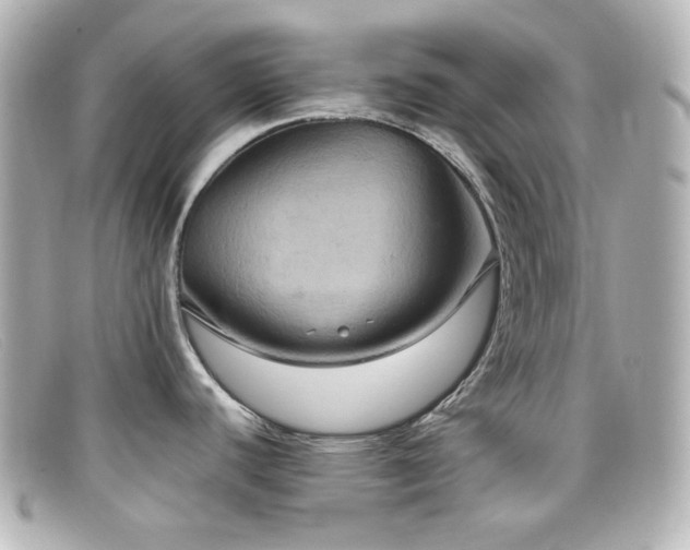 X0000099381440200805081436