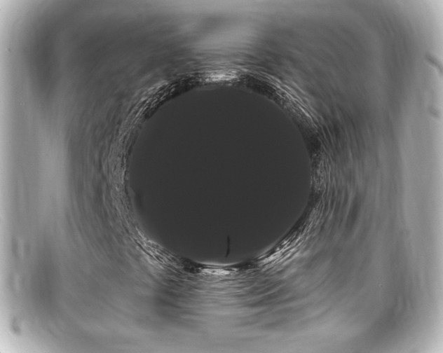 X0000099381441200805081435