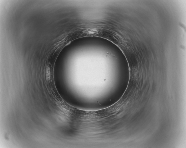 X0000099381442200805081435