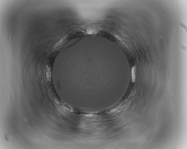 X0000099381443200805081435