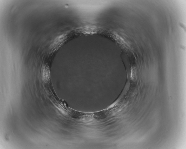 X0000099381444200805081435