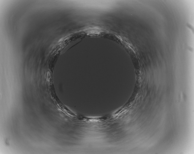 X0000099381445200805081435