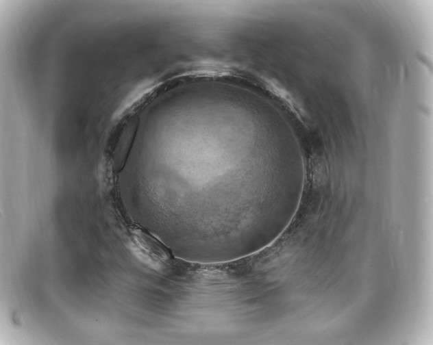 X0000099381448200805081435