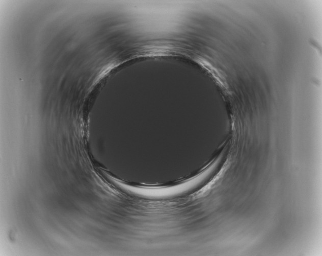 X0000099381449200805081435